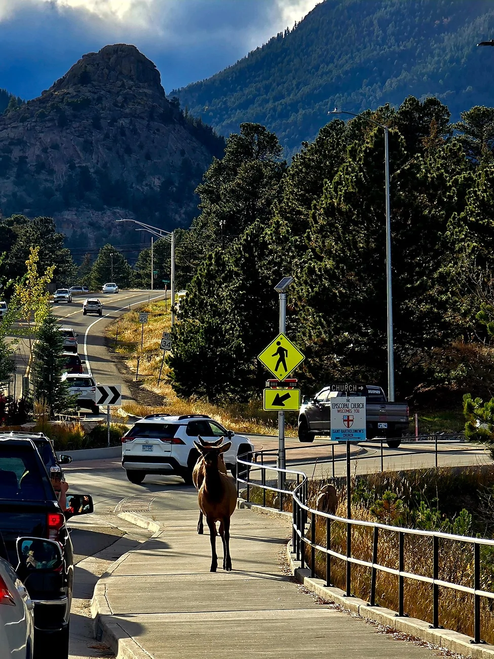 2025 4runner 6th gen First Roadtrip CO 1000019736