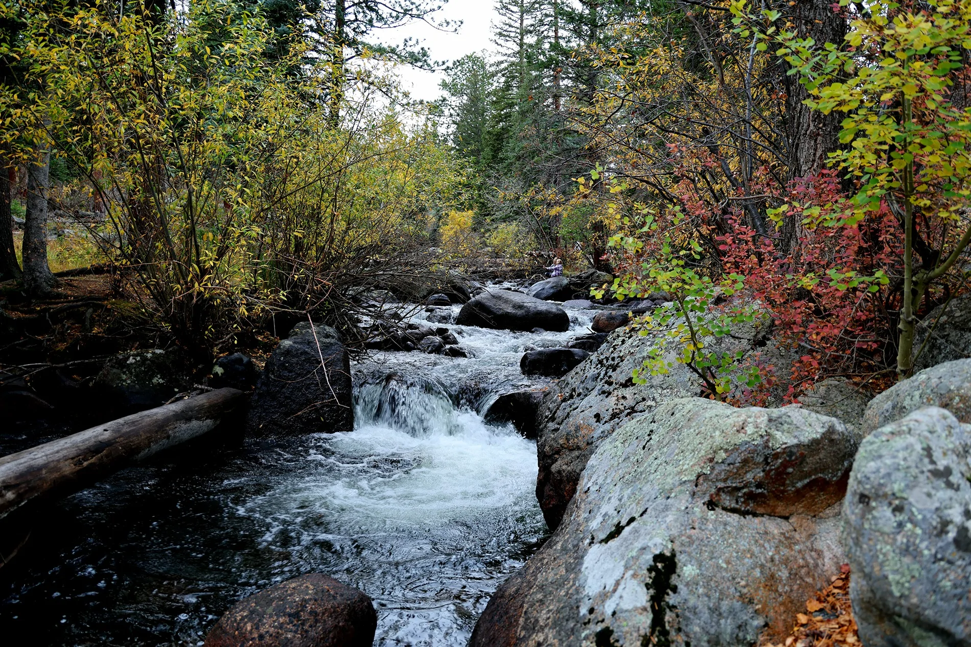 2025 4runner 6th gen First Roadtrip CO 1000021022