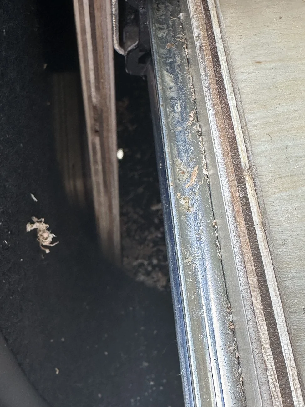 2025 4runner 6th gen Wheelsfeels Sleeping Platform with drawers installed (from Wheels & Feels) IMG_5952