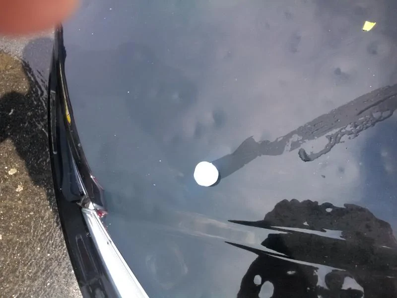 2025 4runner 6th gen Rear ended on freeway -  thoughts or advice? KIMG0052