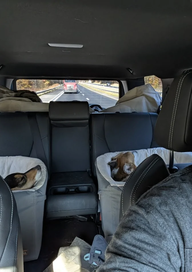 2025 4runner 6th gen First time modification suggestions? 1762181651021-66