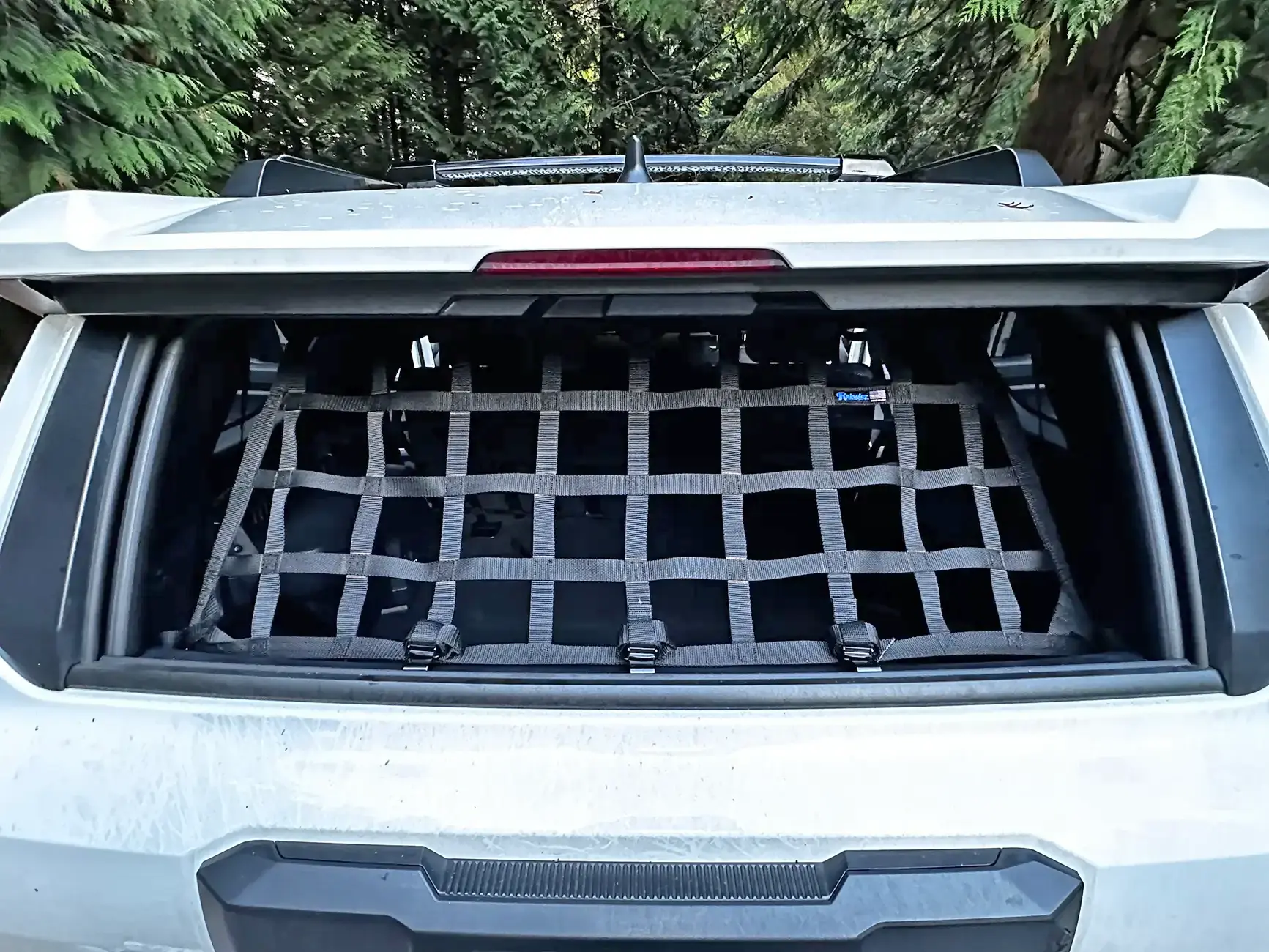 rear window net.webp