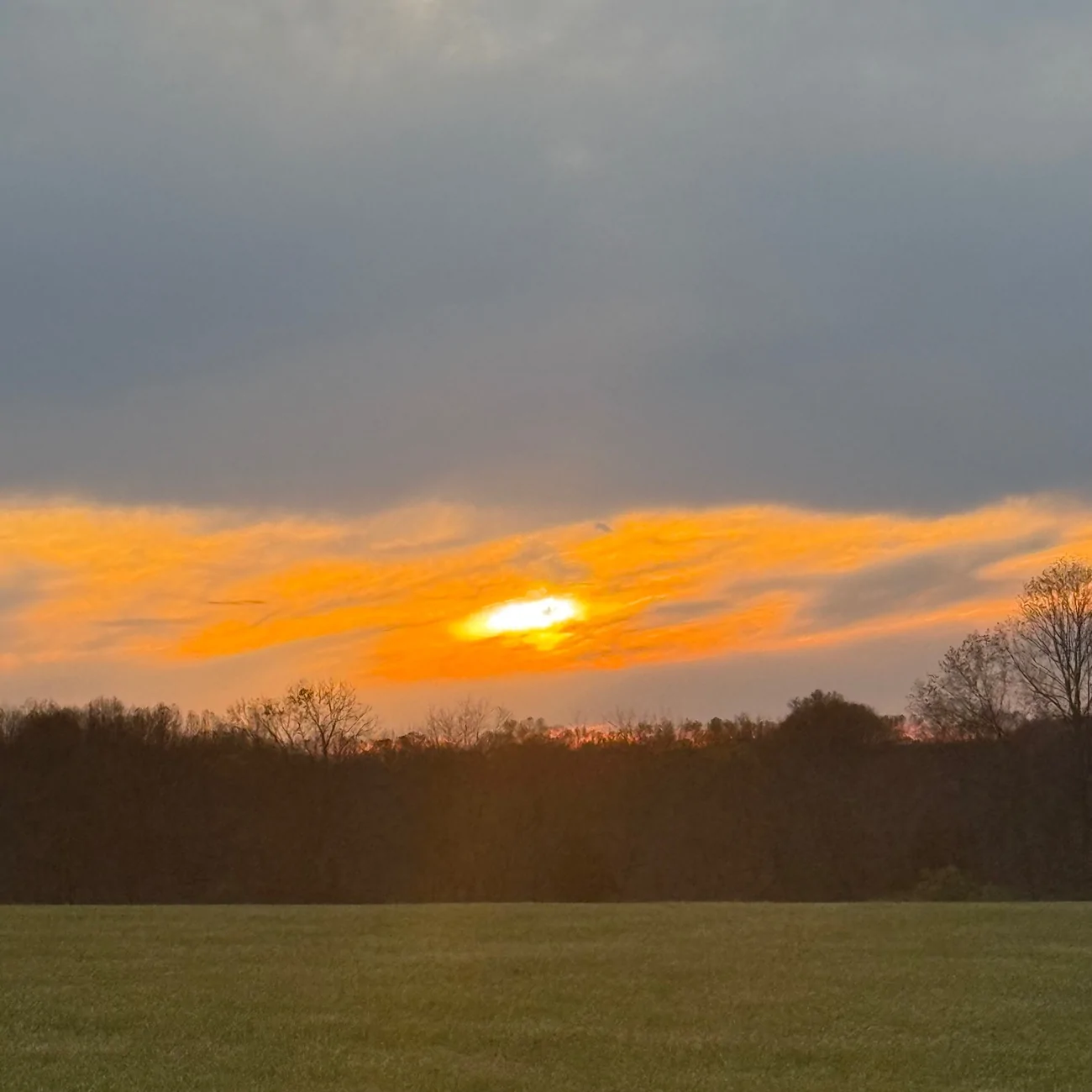 2025 4runner 6th gen Mid-Atlantic Fall Mountain Bike / Lunch Excursion IMG_1685