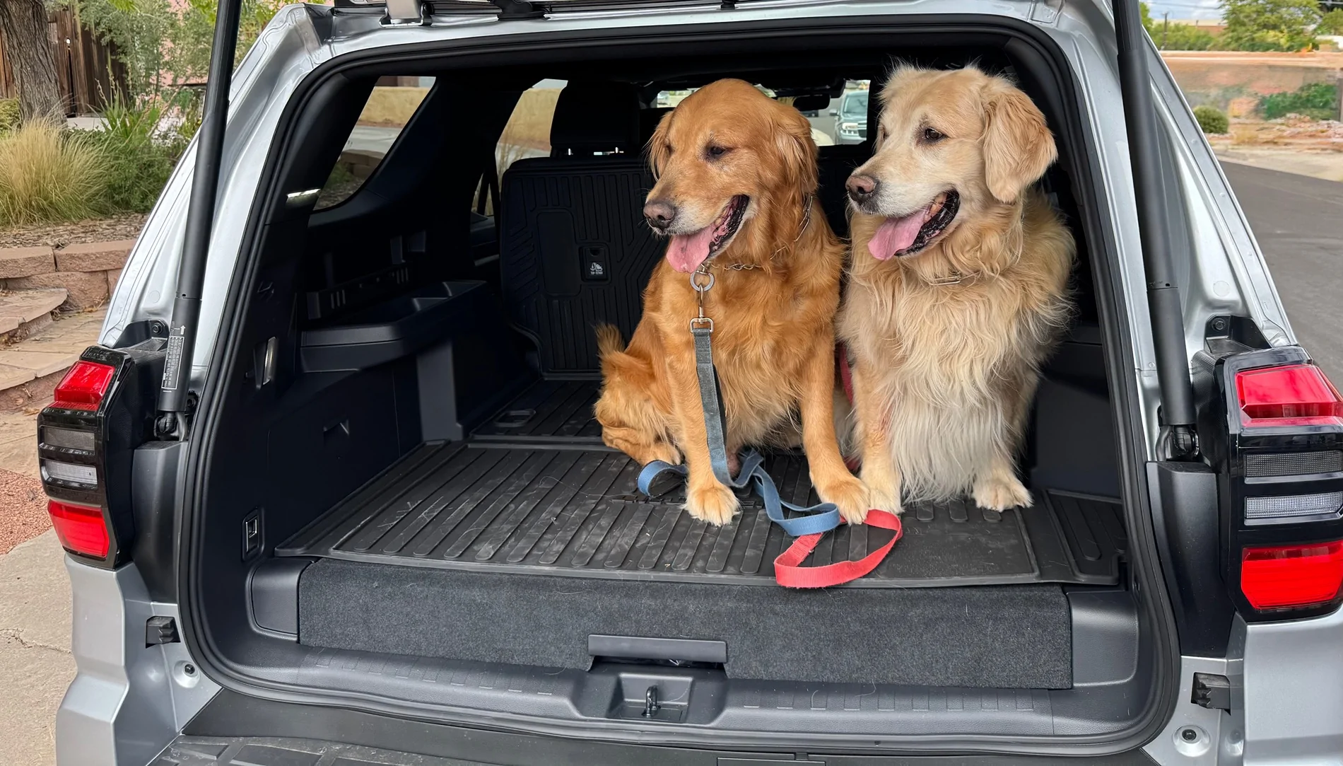 2025 4runner 6th gen Dogs / Pets ride-along photos thread! 🐾 IMG_9591