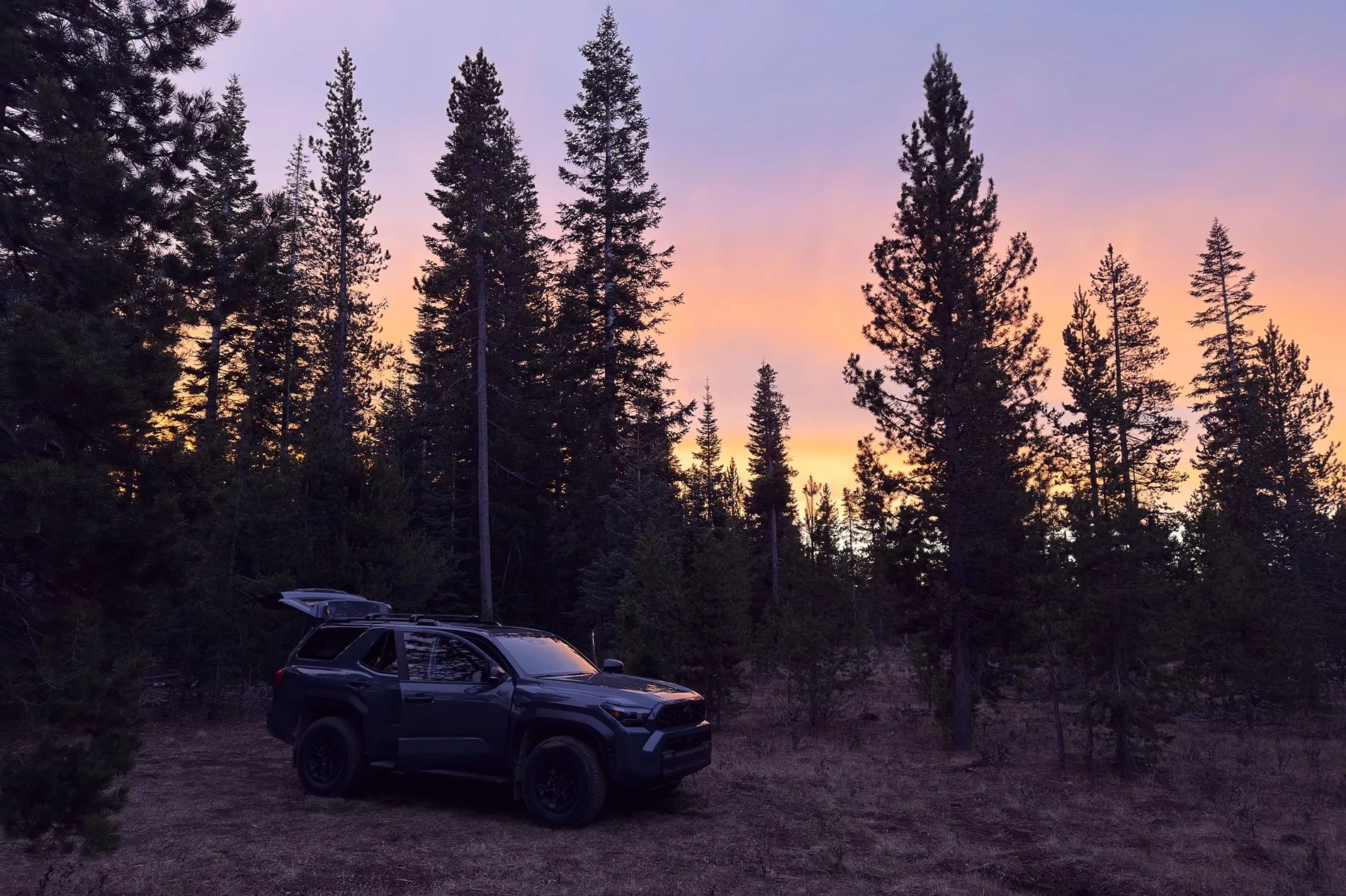 2025 4runner 6th gen First time camping in the 4Runner with Nokhu Rack cot / bed IMG_0985