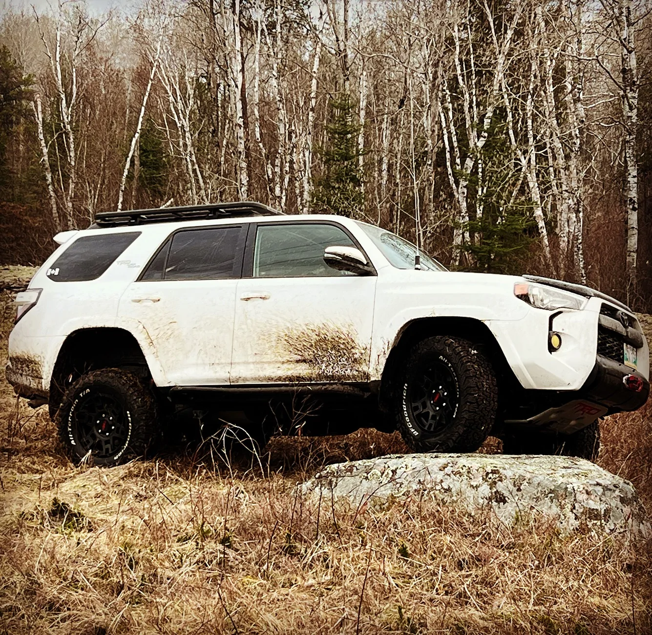 2025 4runner 6th gen Deciding on full rack or 3/4 roof rack FF9CC85E-AAF6-4EAE-BFDF-864D44DDAE26