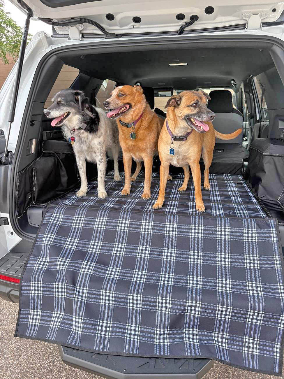 2025 4runner 6th gen Canvasback cargo liner for Hybrid 4Runner - update 15915-3c237ae1f8cebf9008b1c1551d3536e0