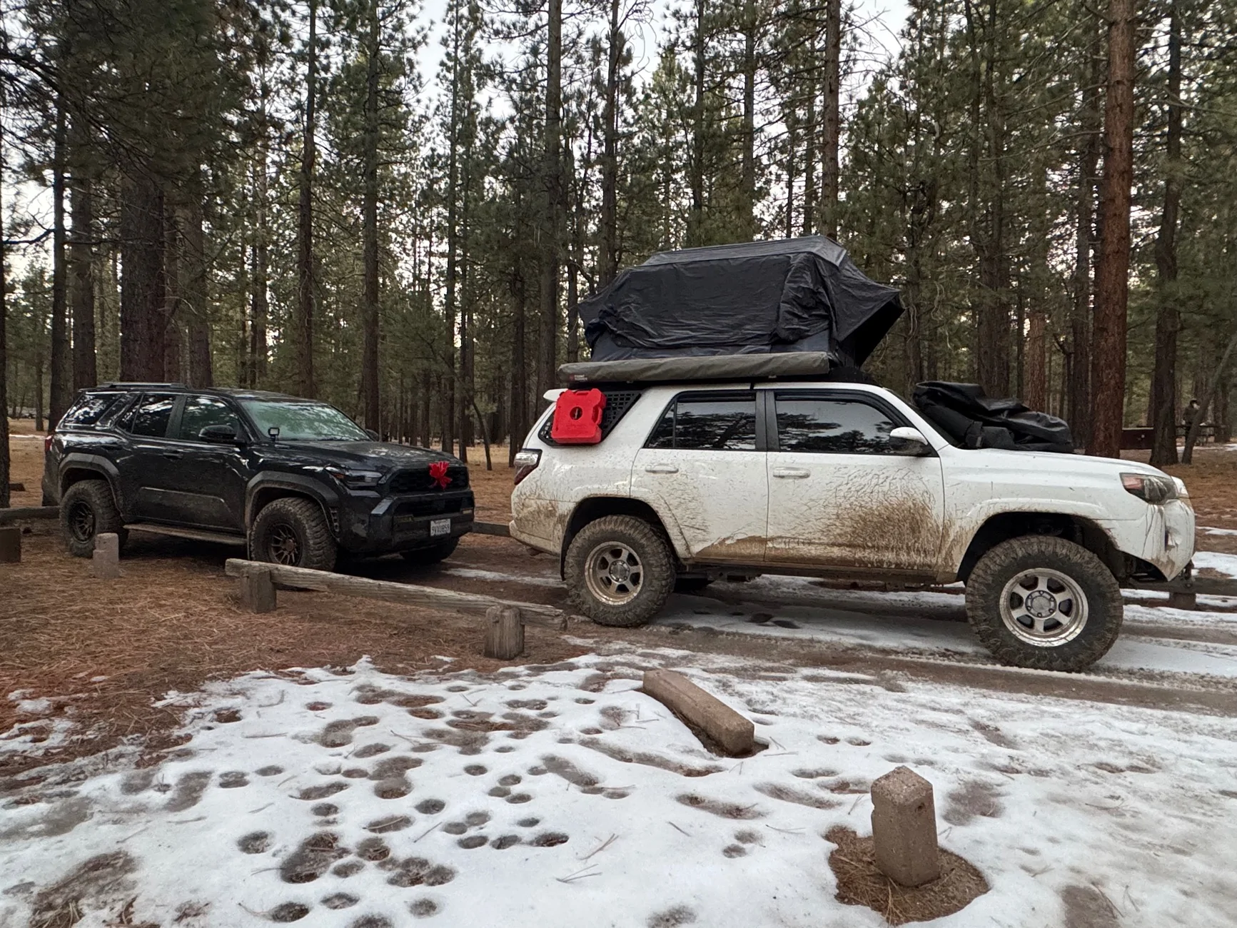 2025 4runner 6th gen Finally my first 4runner! 2025 Underground ORP Build! IMG_4640