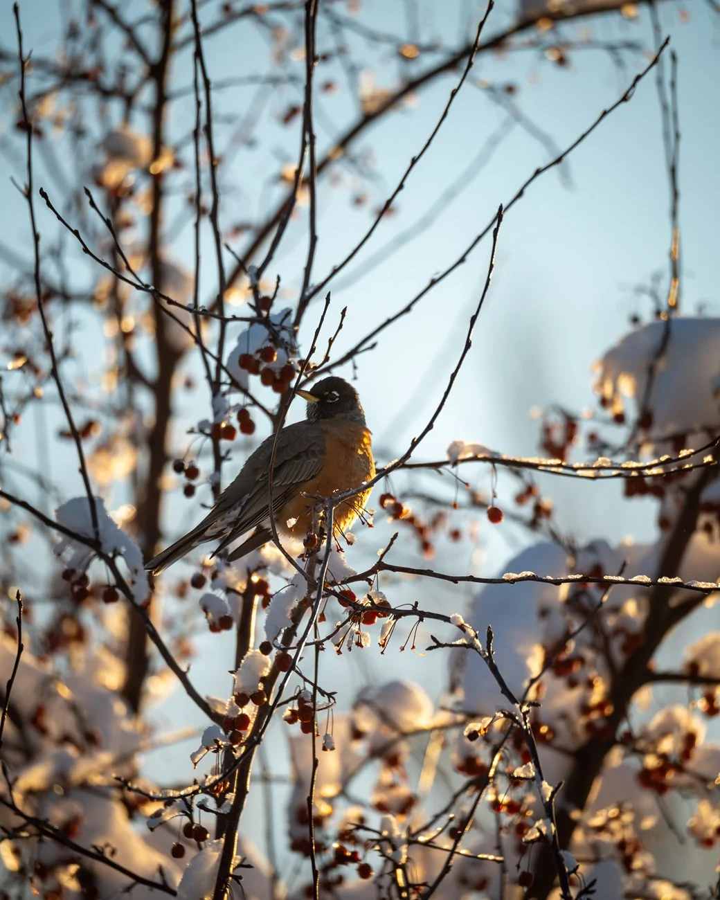 2025 4runner 6th gen Where are the photographers at?? Whats your go to setup? DSC01749