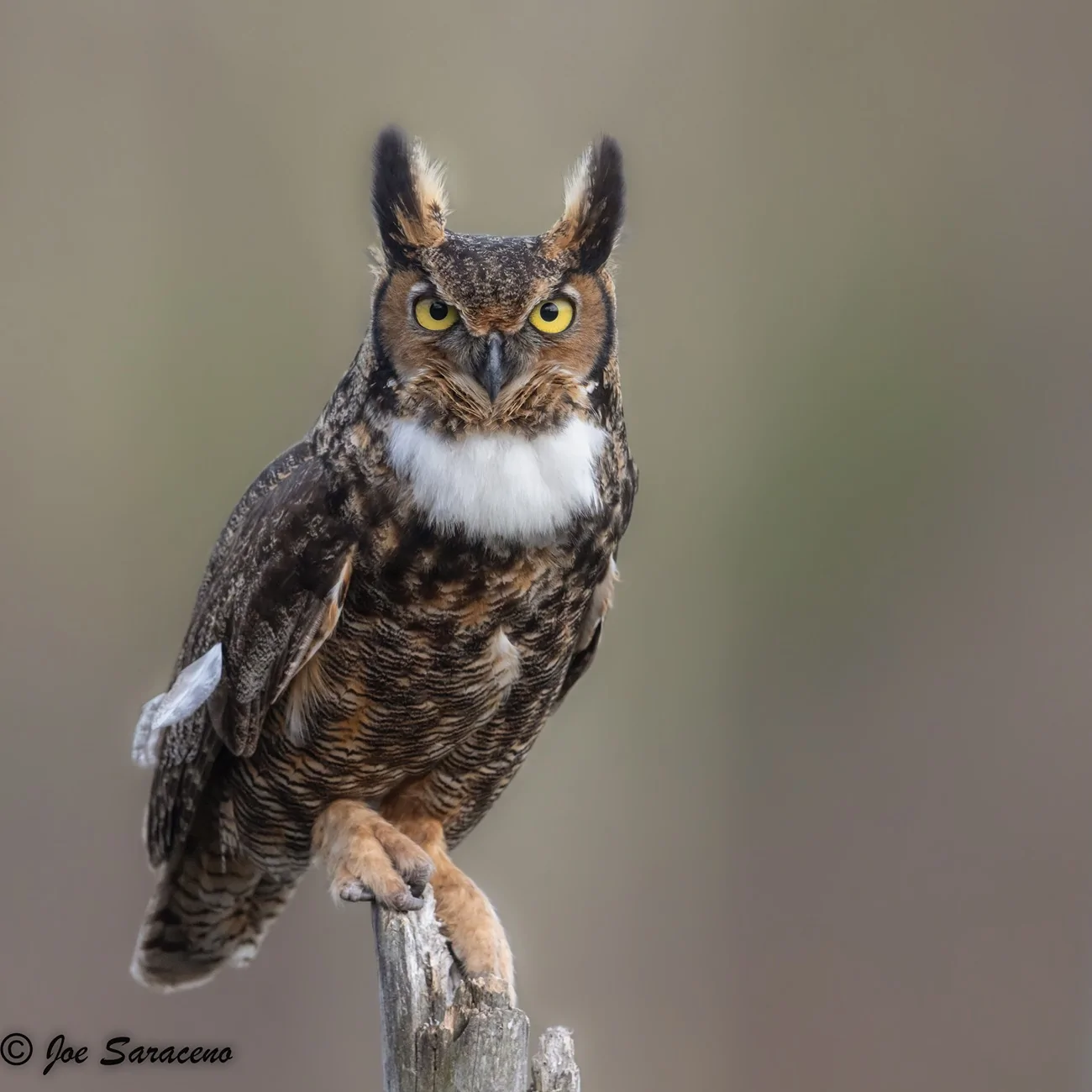 2025 4runner 6th gen Where are the photographers at?? Whats your go to setup? GHO A