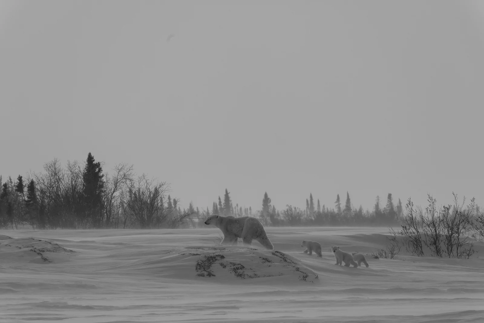 2025 4runner 6th gen Where are the photographers at?? Whats your go to setup? _DSC5545