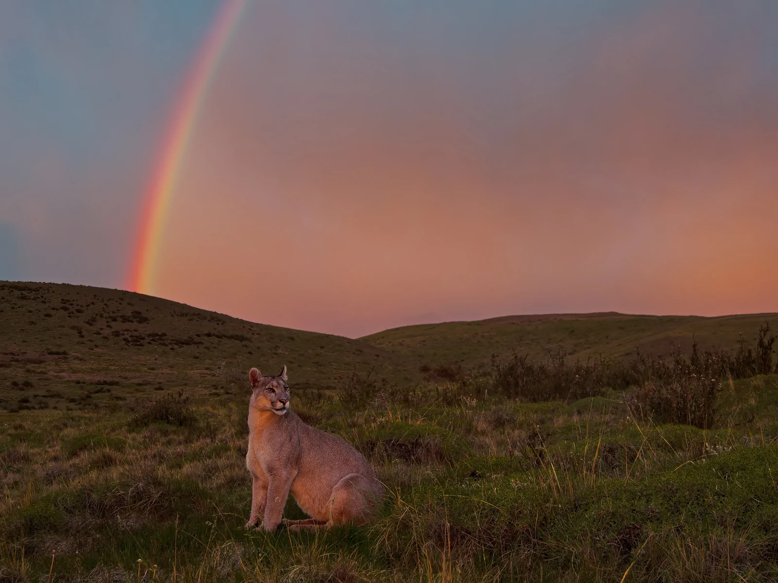 2025 4runner 6th gen Where are the photographers at?? Whats your go to setup? 2467638