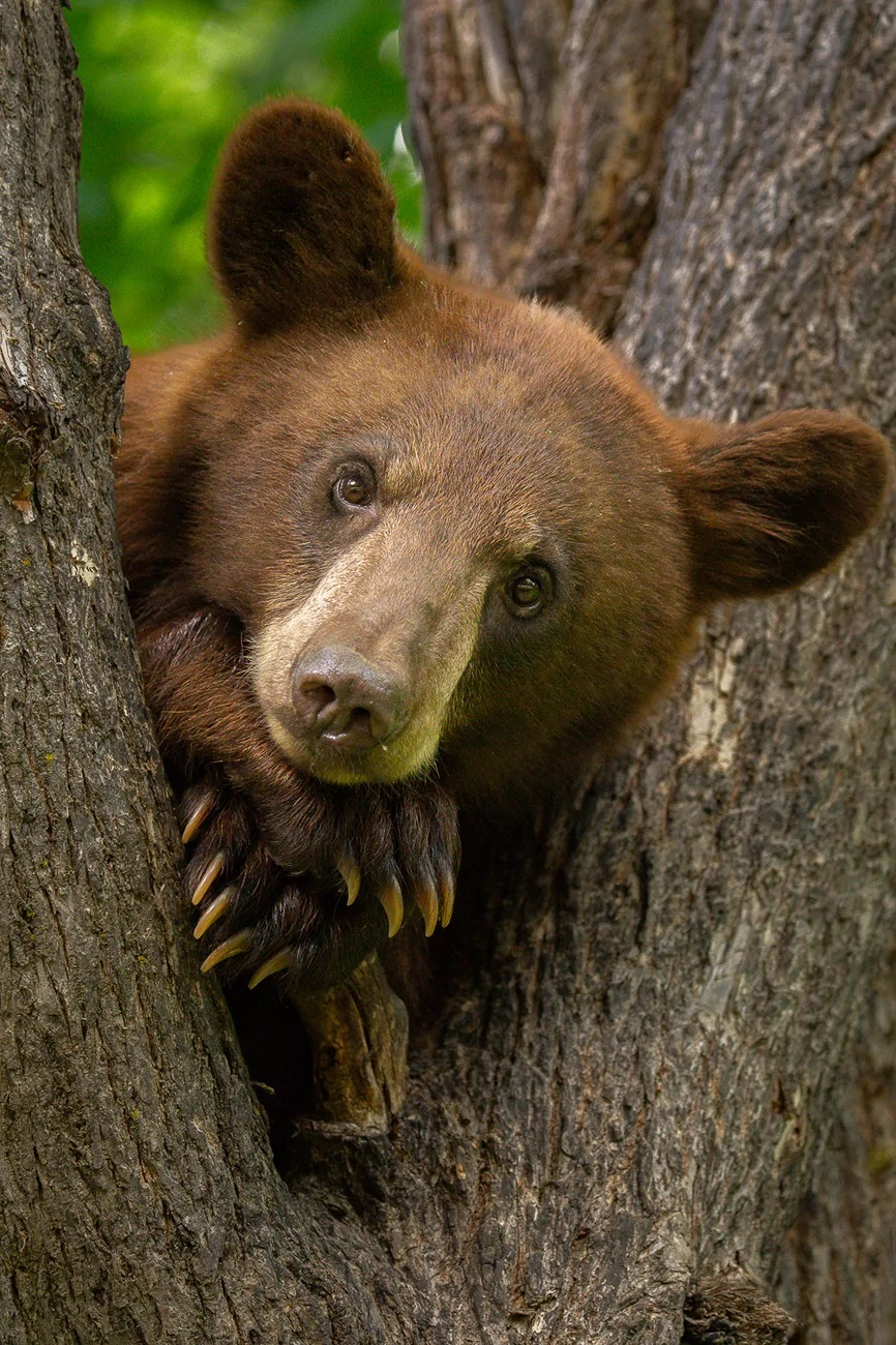 2025 4runner 6th gen Where are the photographers at?? Whats your go to setup? 2568016