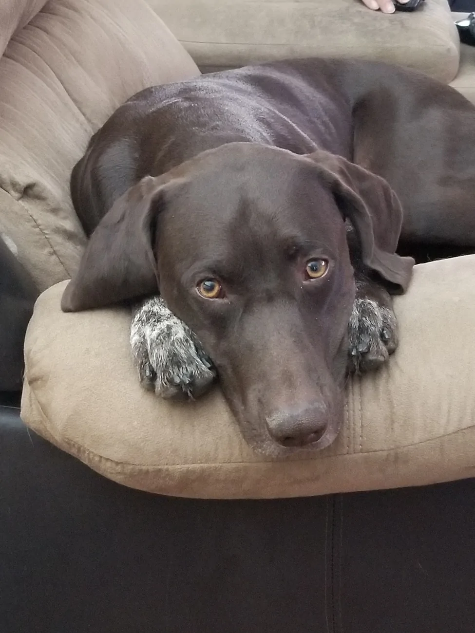 2025 4runner 6th gen Where are the photographers at?? Whats your go to setup? 2017-10-11 Havyn 01