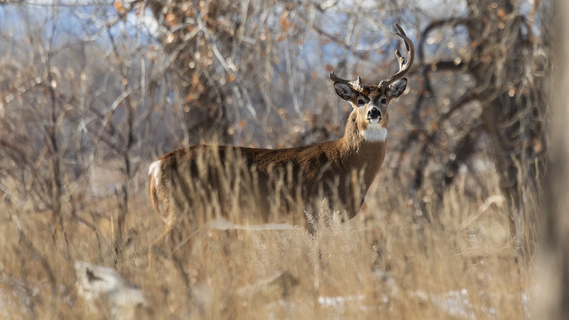 2025 4runner 6th gen Where are the photographers at?? Whats your go to setup? rmna-5