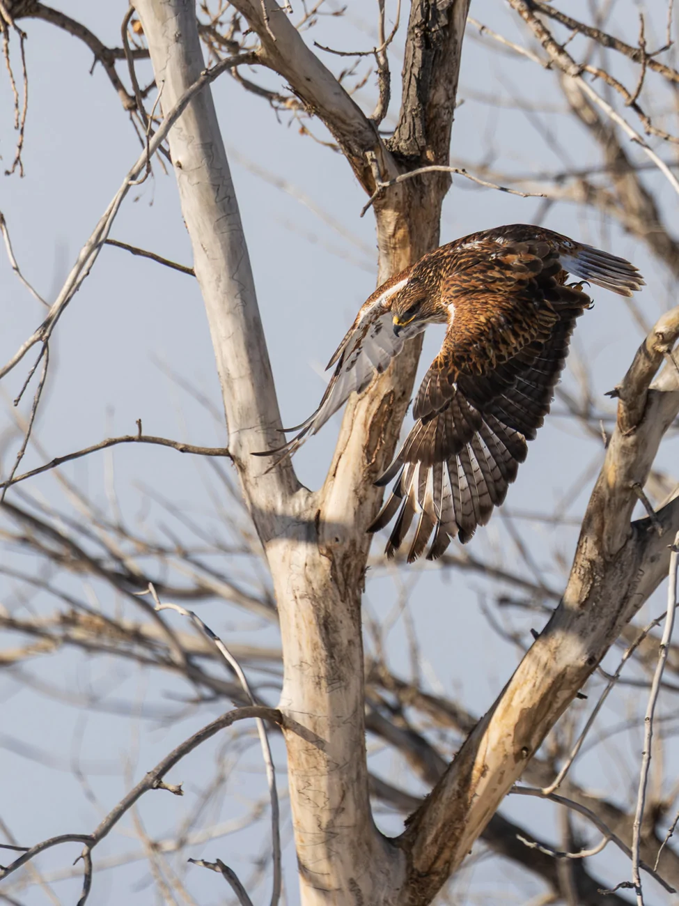 2025 4runner 6th gen Where are the photographers at?? Whats your go to setup? rmna-2
