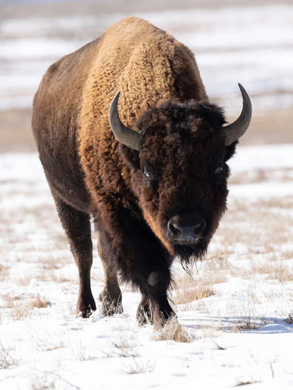 2025 4runner 6th gen Where are the photographers at?? Whats your go to setup? rmna-6