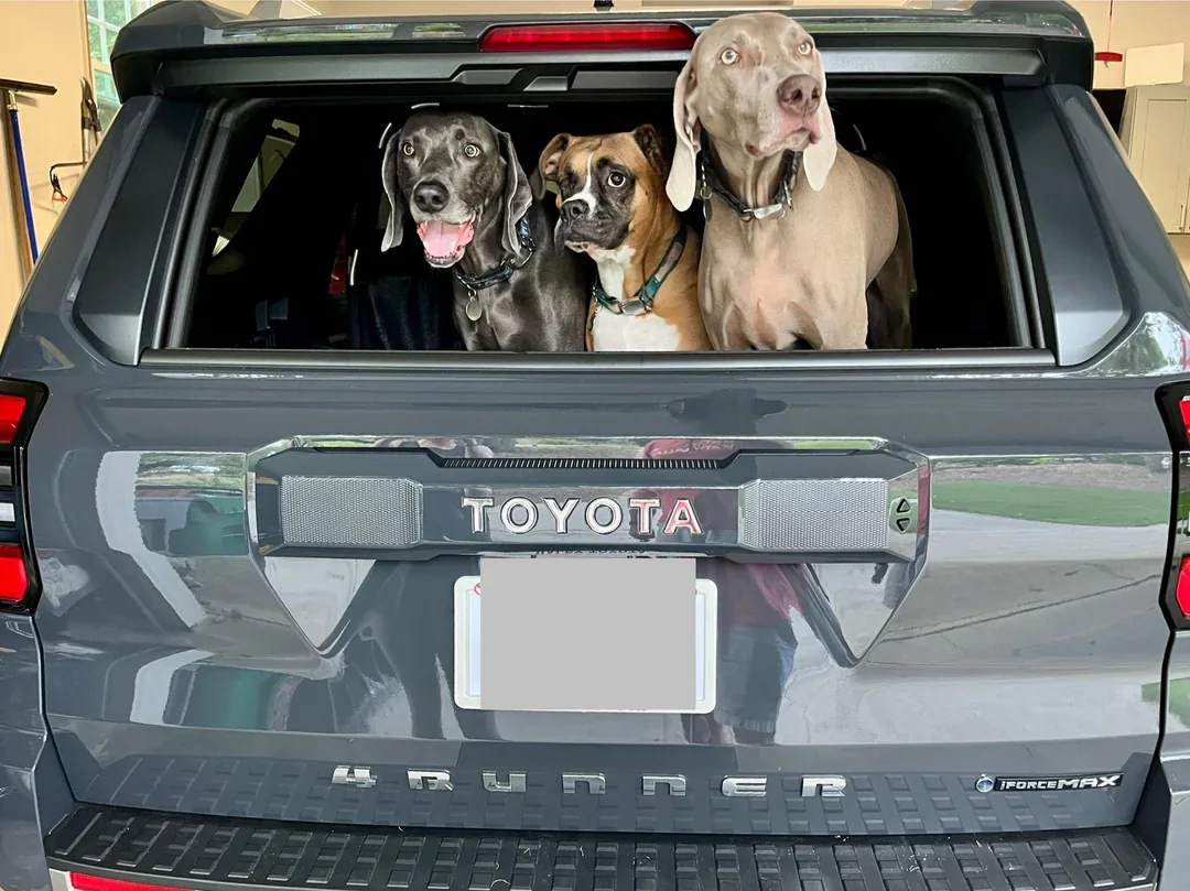 2025 4runner 6th gen Does Your 4runner6G Deserve Better? — Win a set of Free Floor Mats by 3Wliners 🎉 1765893090653-ru