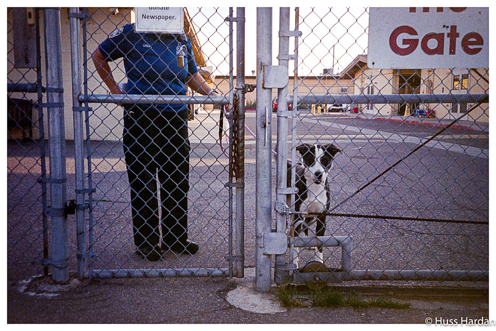 2025 4runner 6th gen Dogs / Pets ride-along photos thread! 🐾 53434067849_2df3579497_b