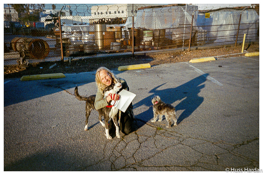 2025 4runner 6th gen Dogs / Pets ride-along photos thread! 🐾 53432821332_f4508eb8b2_b