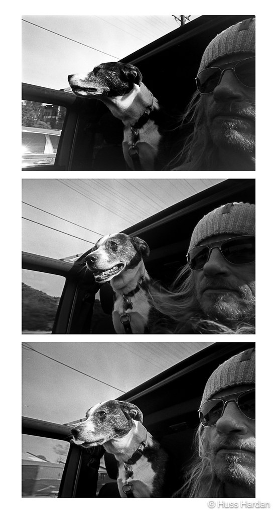 2025 4runner 6th gen Dogs / Pets ride-along photos thread! 🐾 54270908442_f1f7d50b60_b