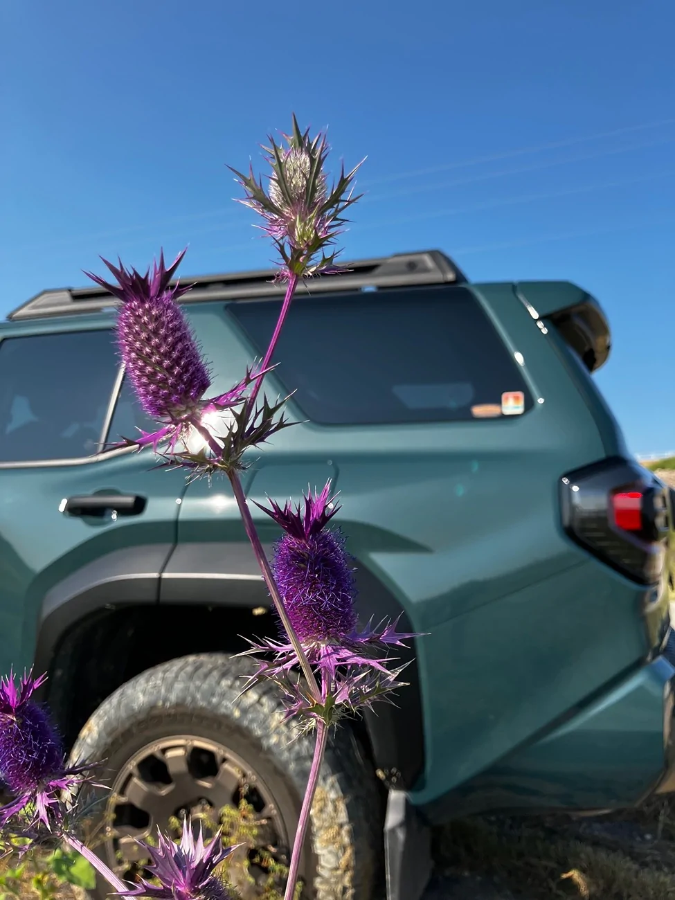 2025 4runner 6th gen Random Daily Photos of the Day Thread - Post Your 4Runner Pics! 📸 IMG_4757