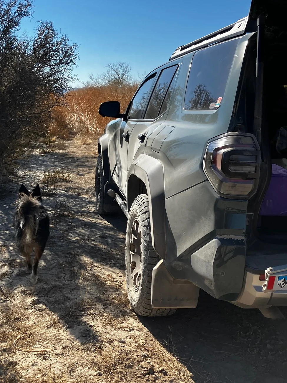 2025 4runner 6th gen Trailhunter PHOTOS doing 4runner things! (any colors welcome!) IMG_6375