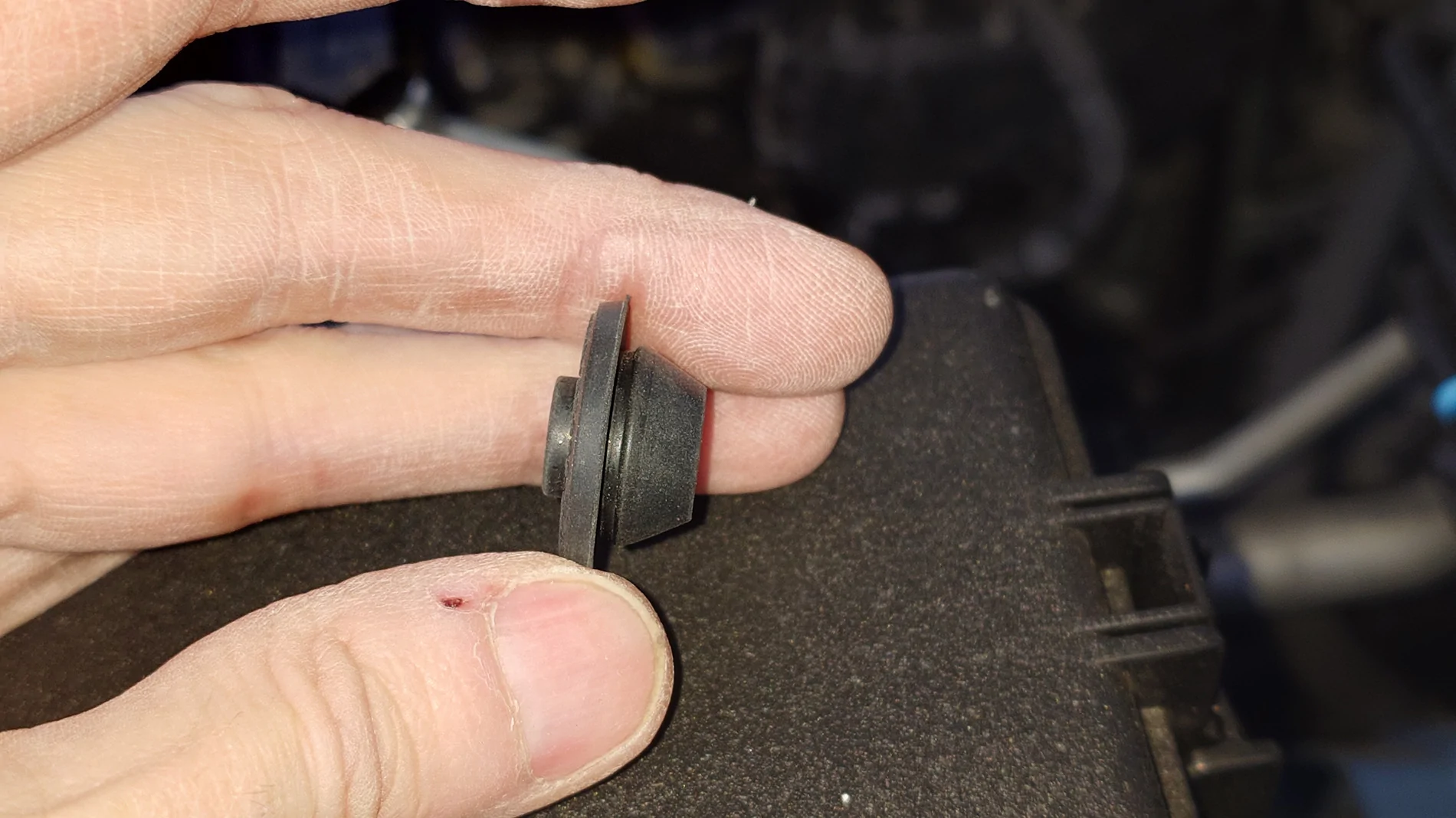 2025 4runner 6th gen Anyone tried this Anytime front bumper camera on SR5? 20260121_163839100