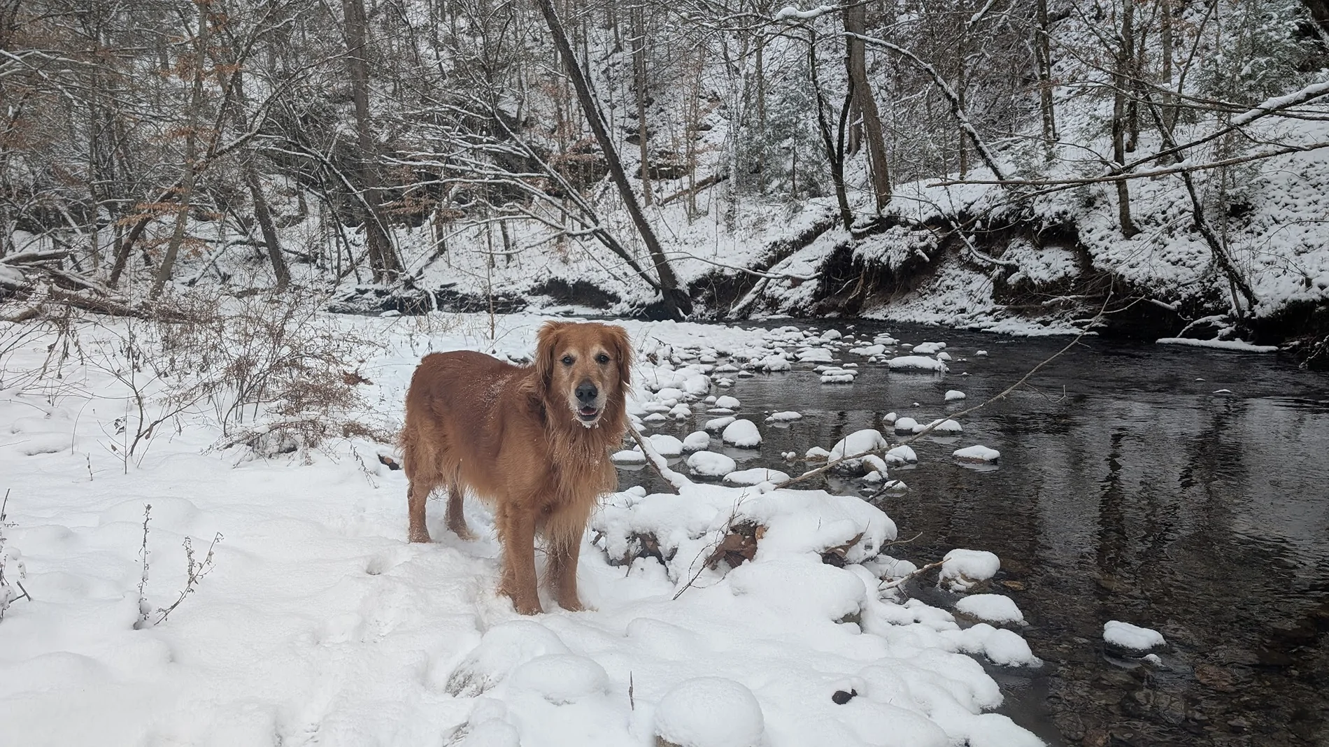 2025 4runner 6th gen First snow day for the ORP. Minor incident. PXL_20260131_191342277.MP