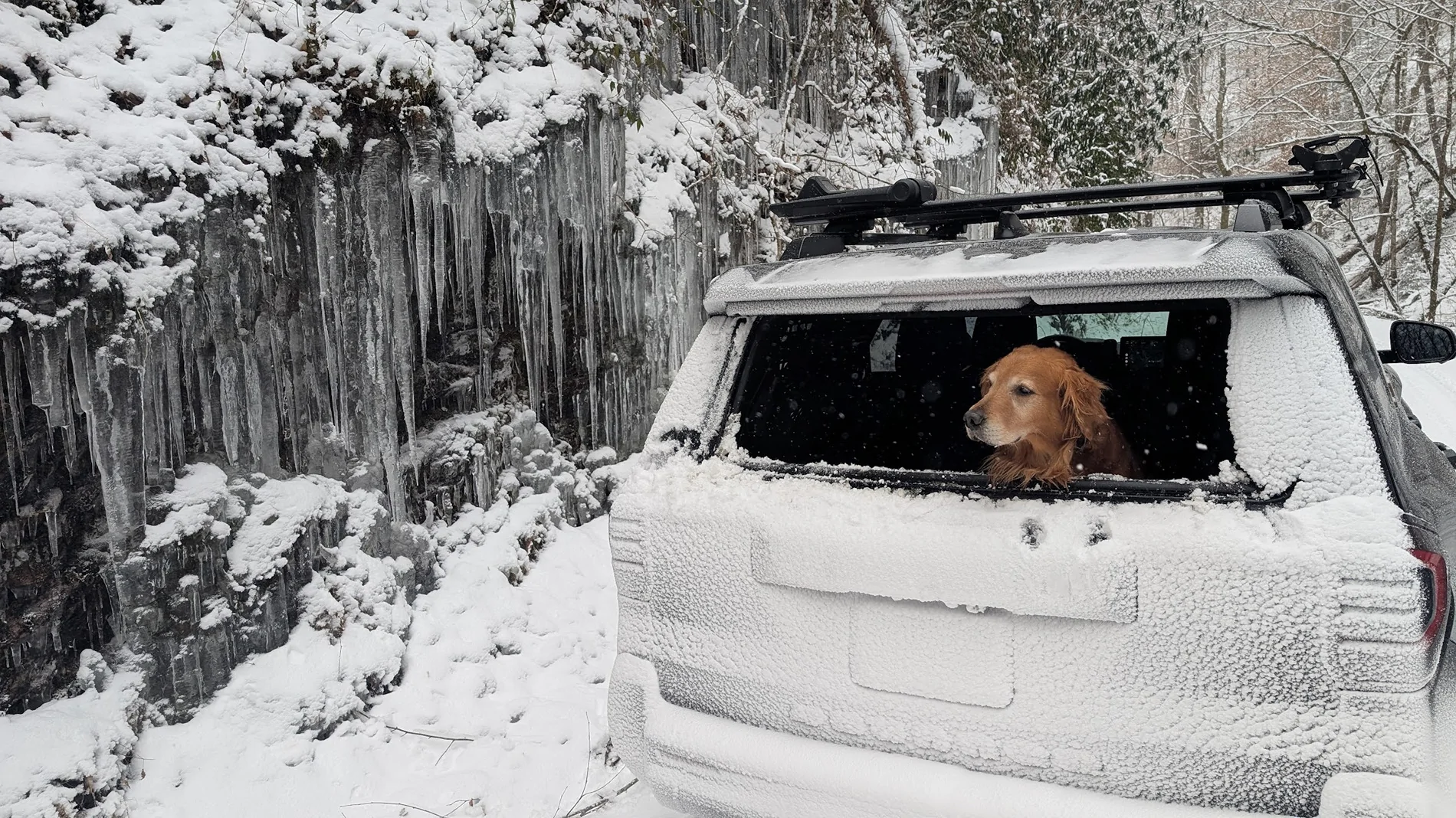 2025 4runner 6th gen First snow day for the ORP. Minor incident. PXL_20260131_190433552