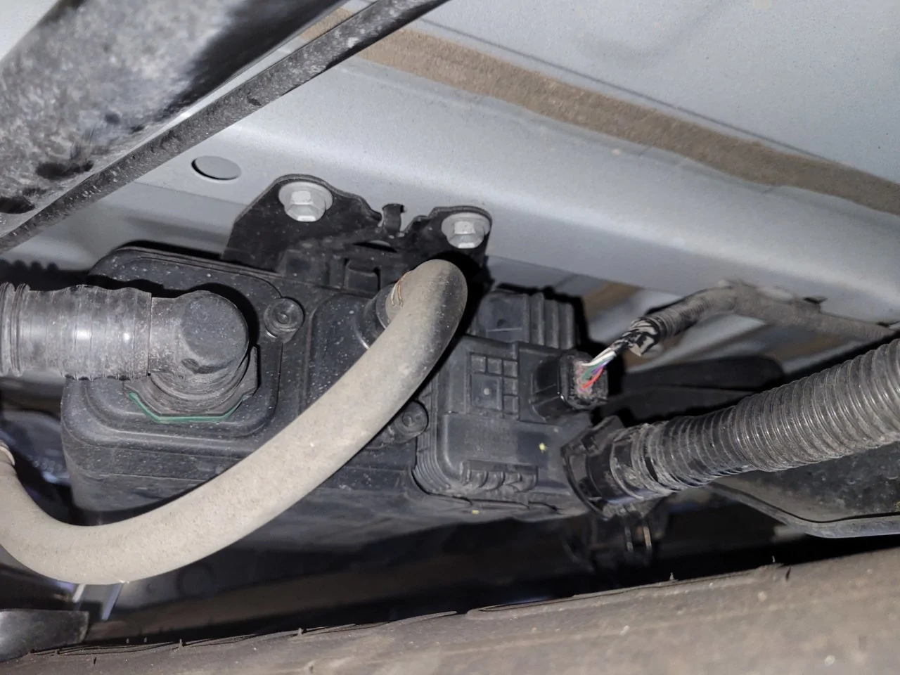 2025 4runner 6th gen Gasoline fumes while driving and after driving - 2025 4Runner TRD Pro IMG_2813