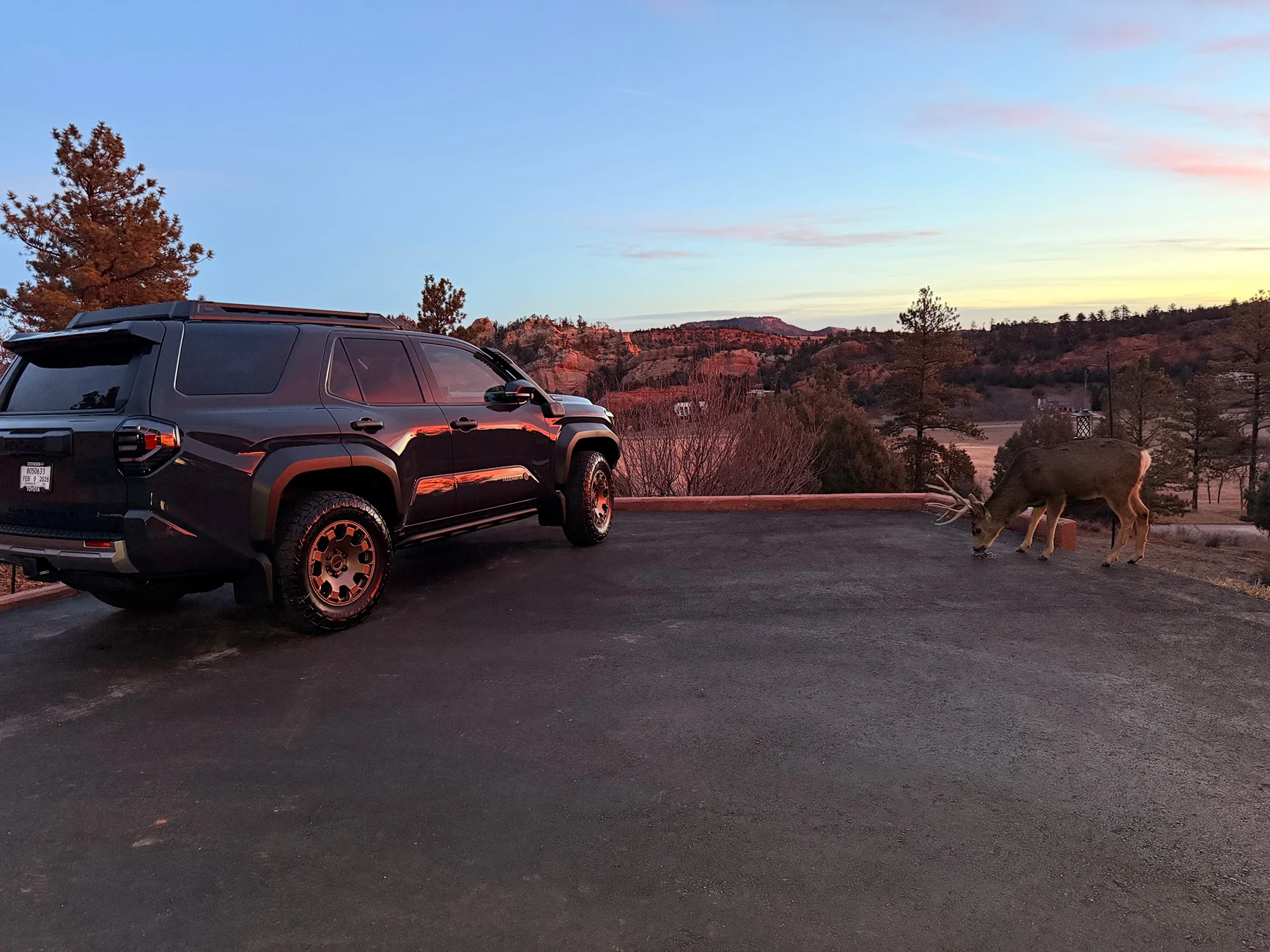 2025 4runner 6th gen 4Runner 6th Gen OWNERS Registry List & Stats [Add Yours]! 📊 IMG_0330