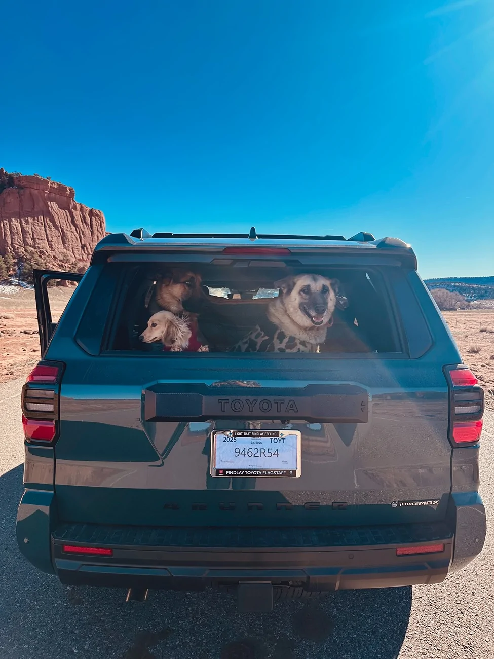 2025 4runner 6th gen 4Runner 6th Gen OWNERS Registry List & Stats [Add Yours]! 📊 IMG_9135