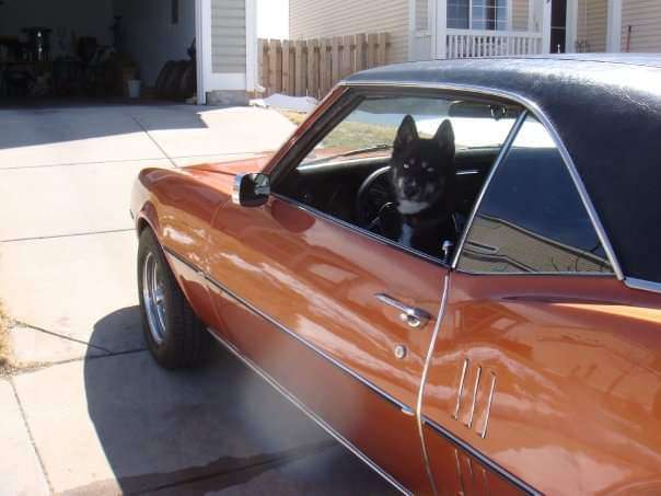 2025 4runner 6th gen Introductions & Welcome Thread 👋 FB_IMG_1539729194678