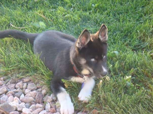 2025 4runner 6th gen Introductions & Welcome Thread 👋 FB_IMG_1539730088004