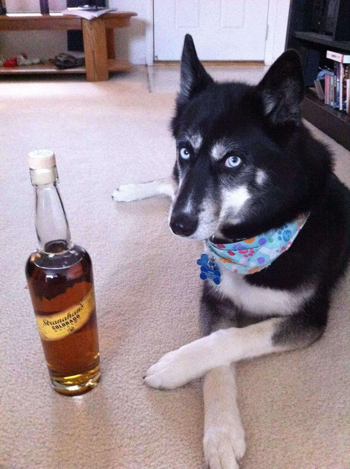 2025 4runner 6th gen Introductions & Welcome Thread 👋 FB_IMG_1539730104482