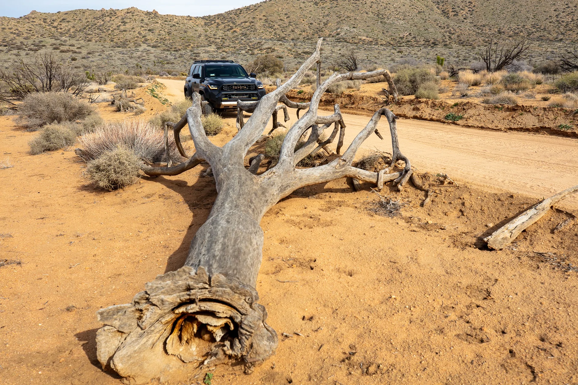 2025 4runner 6th gen My first 4RUNNER Trailhunter 005A3884-2