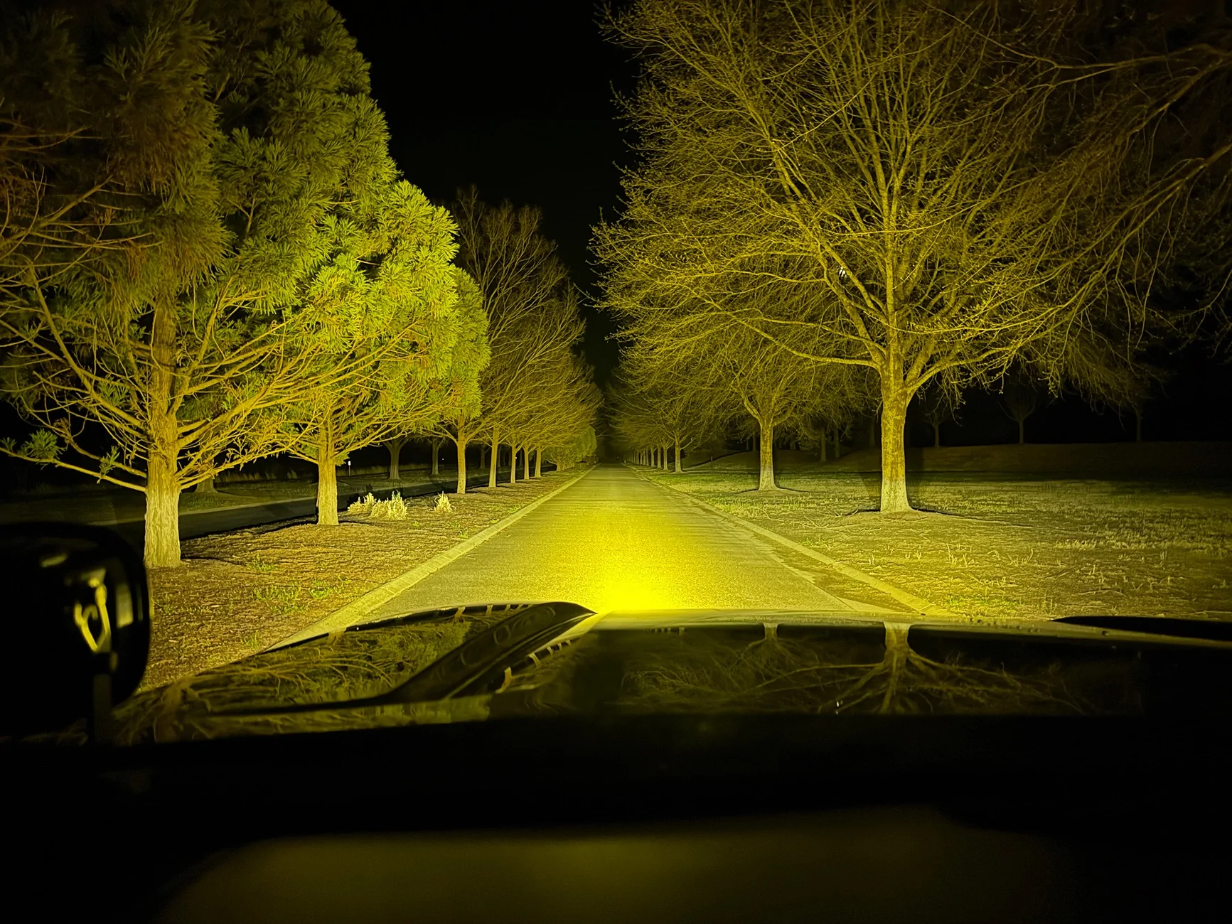 2025 4runner 6th gen Baja Designs Squadron Sport Light Pods Behind the Grille Kit - installed IMG_7692