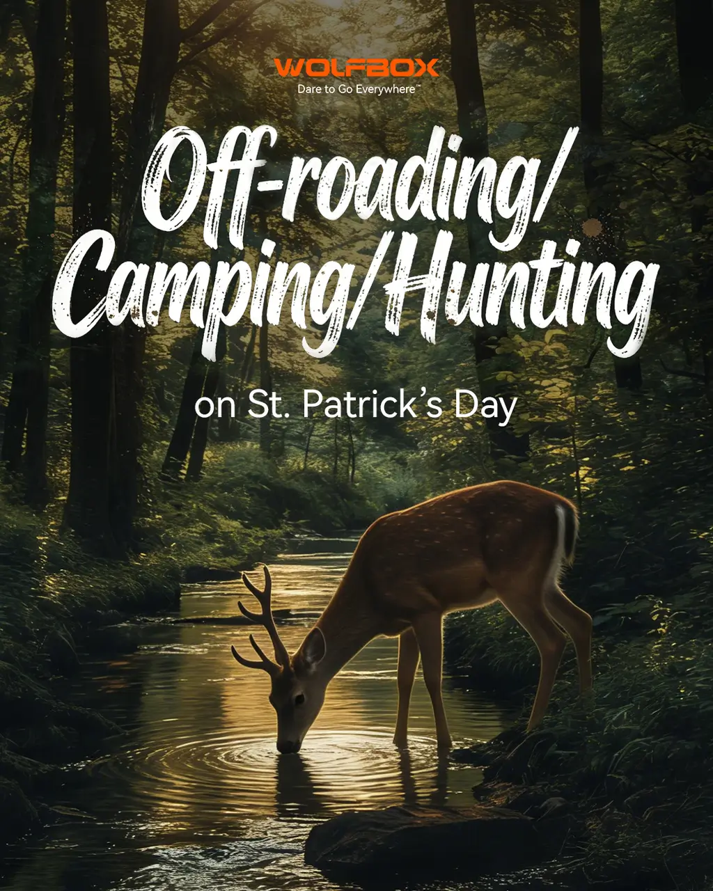 2025 4runner 6th gen Green Runs: St. Patrick’s Trail Takeover? 37cc2f10-2b95-4a88-8830-605b292ef64f