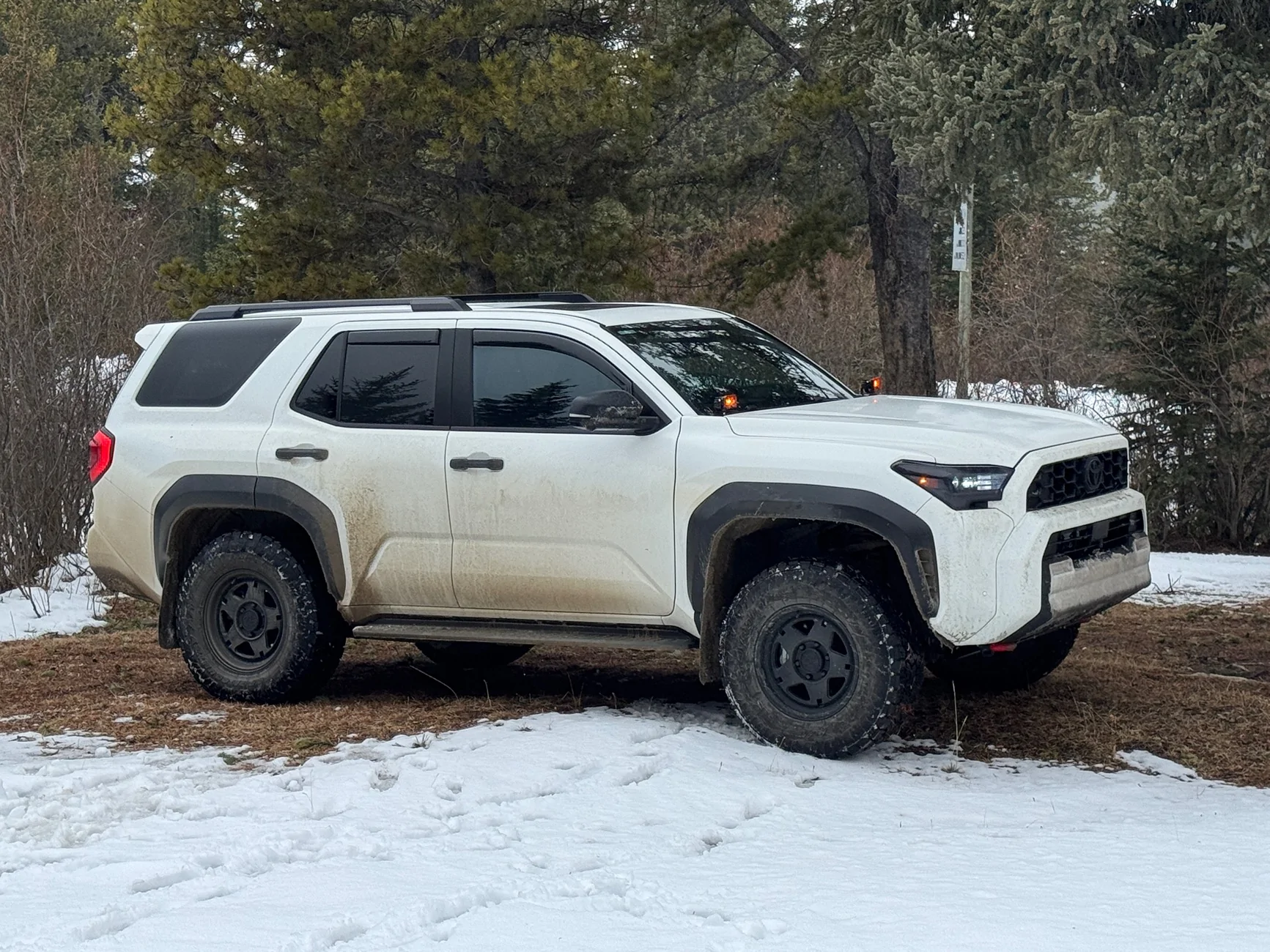 2025 2026 4runner 6th gen OME MT64 Old Man Emu Suspension w/ UCA (Part #2135K) + Timbren Active Off-Road Bumpstops -- Installation & Review...by Van Solo IMG_3042