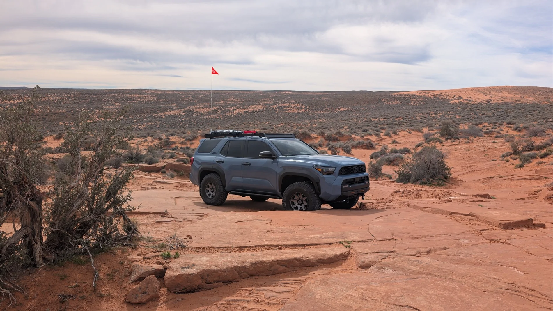 2025 2026 4runner 6th gen Bluey - 2025 Heritage Blue TRD ORP Build: ICON Stage 5 3" Lift, ICON Alloys +25 Offset, RCI, Warn, Diode Dynamics, Starlink & more 1775838683020-dc