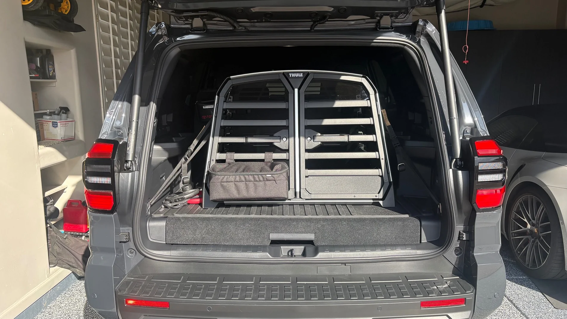 2025 2026 4runner 6th gen Dogs / Pets ride-along photos thread! 🐾 IMG_0185