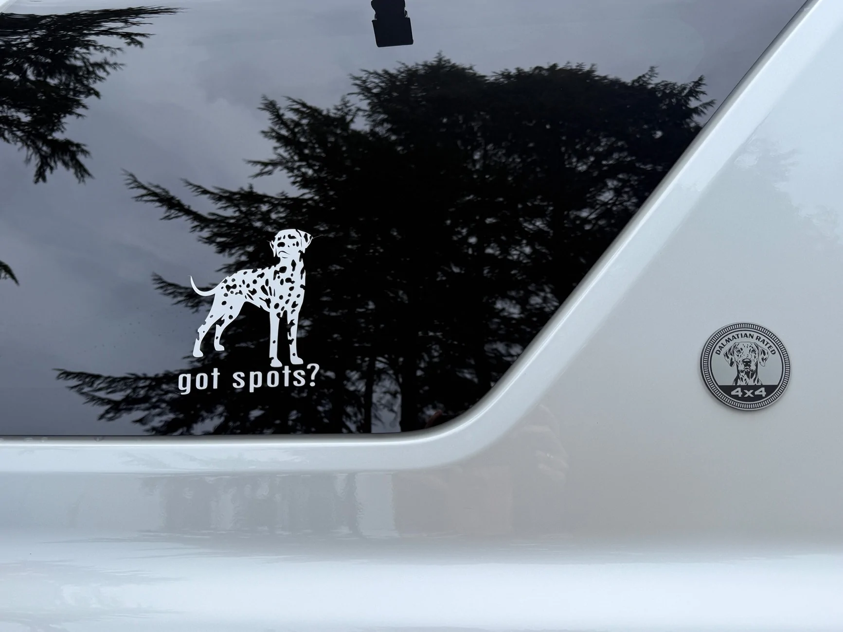 2025 2026 4runner 6th gen Dalmatian Edition IMG_2399