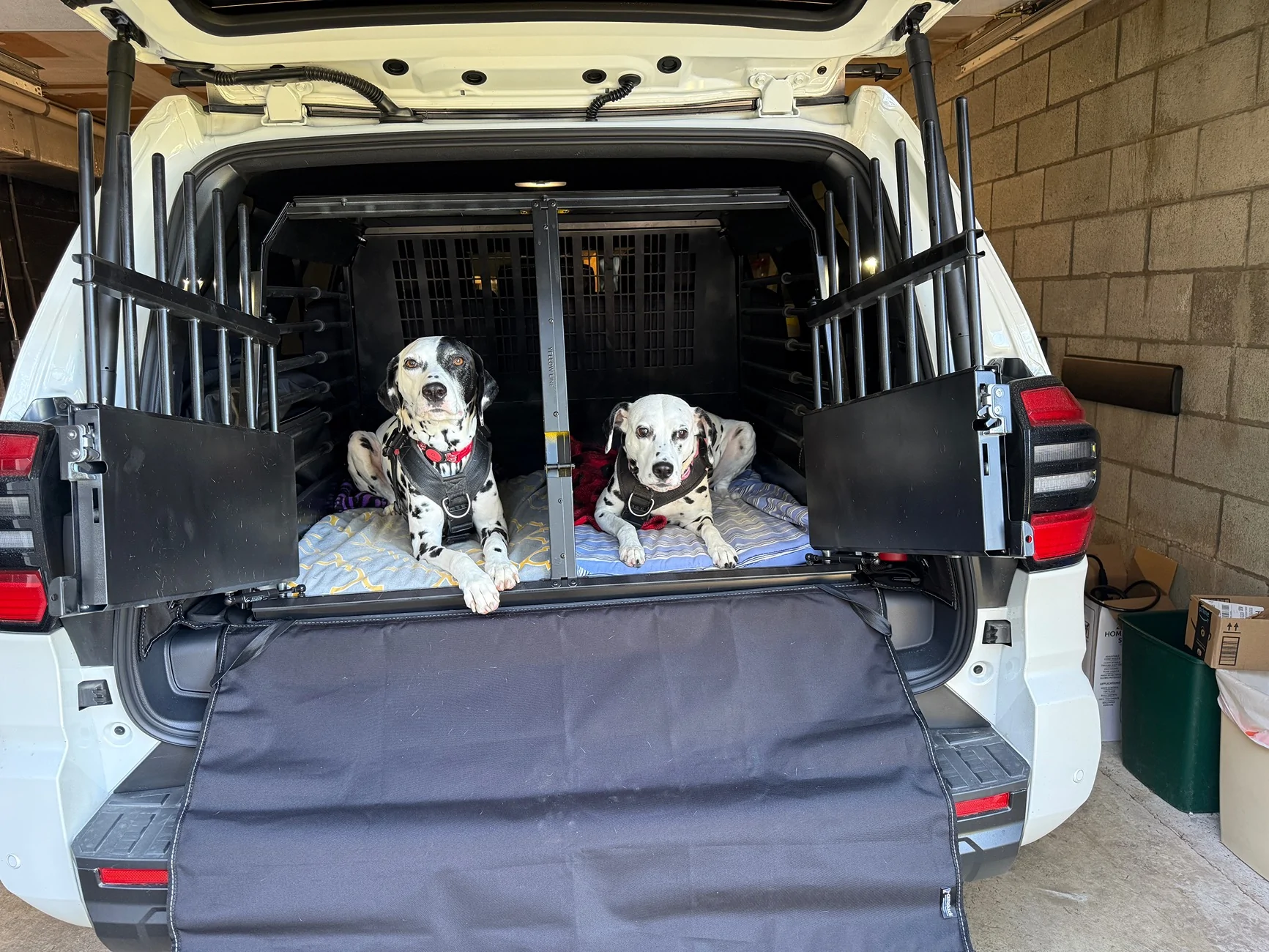 2025 2026 4runner 6th gen Dalmatian Edition IMG_2347