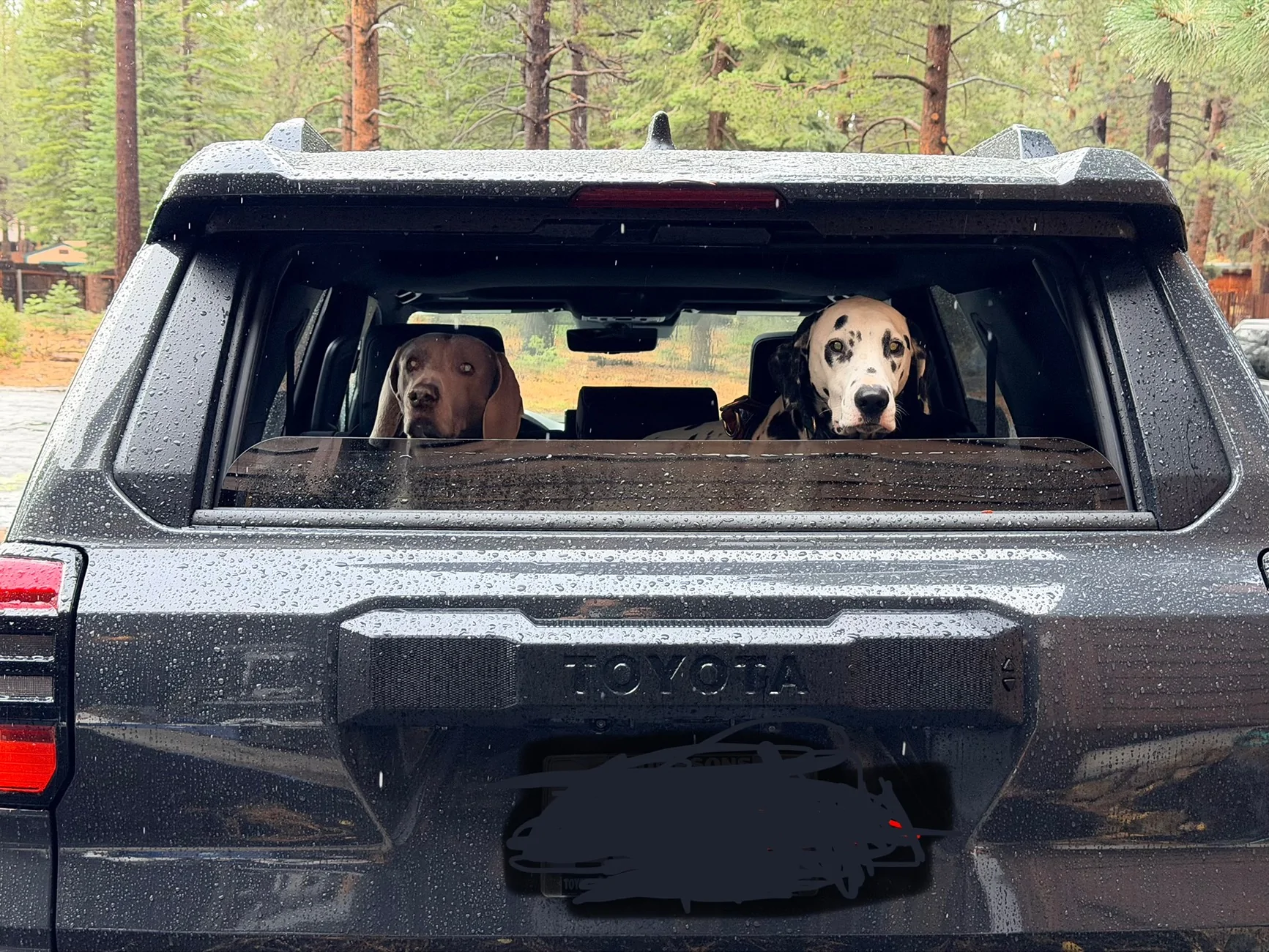 2025 2026 4runner 6th gen Dalmatian Edition IMG_0315