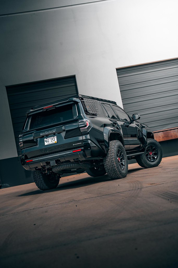55257294549_68267f76bb_b.jpg