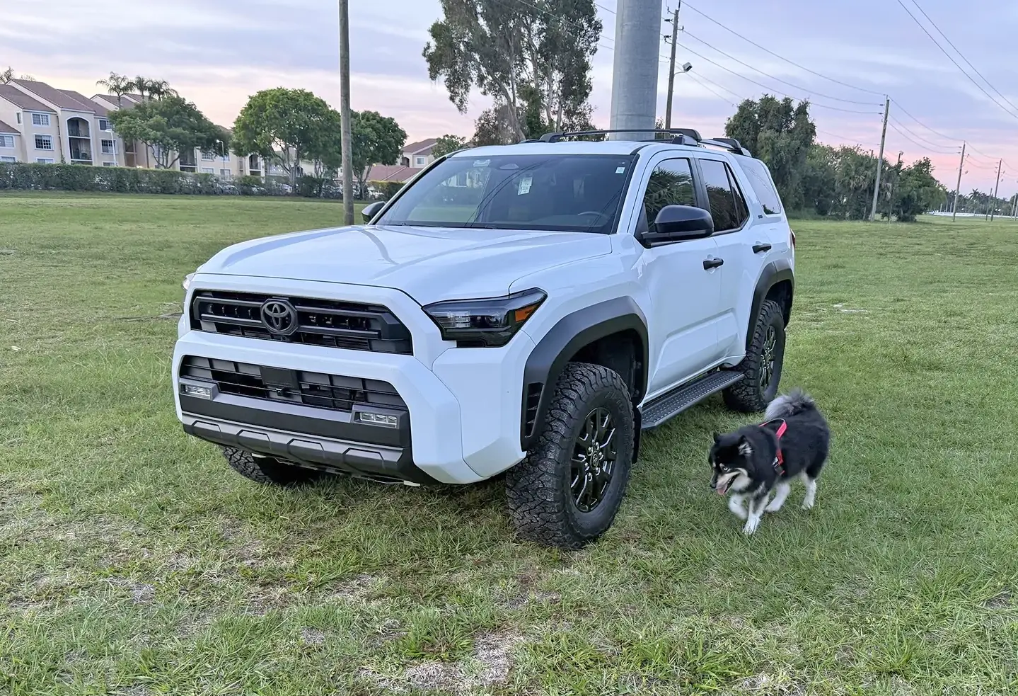 2025 2026 4runner 6th gen Bilstein 6112 (front) / 6100 (rear) install experience, review & photos Bilstein 6112 : 6100 on 2025 2026 6th gen 4runner 1