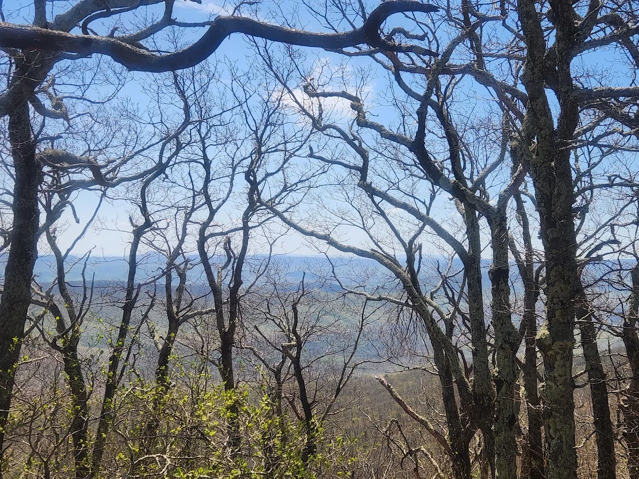 2025 2026 4runner 6th gen "Stock" TRD ORP Trip on Potts Mountain Jeep Trail (onX 7) - It was epic 20260418_125249