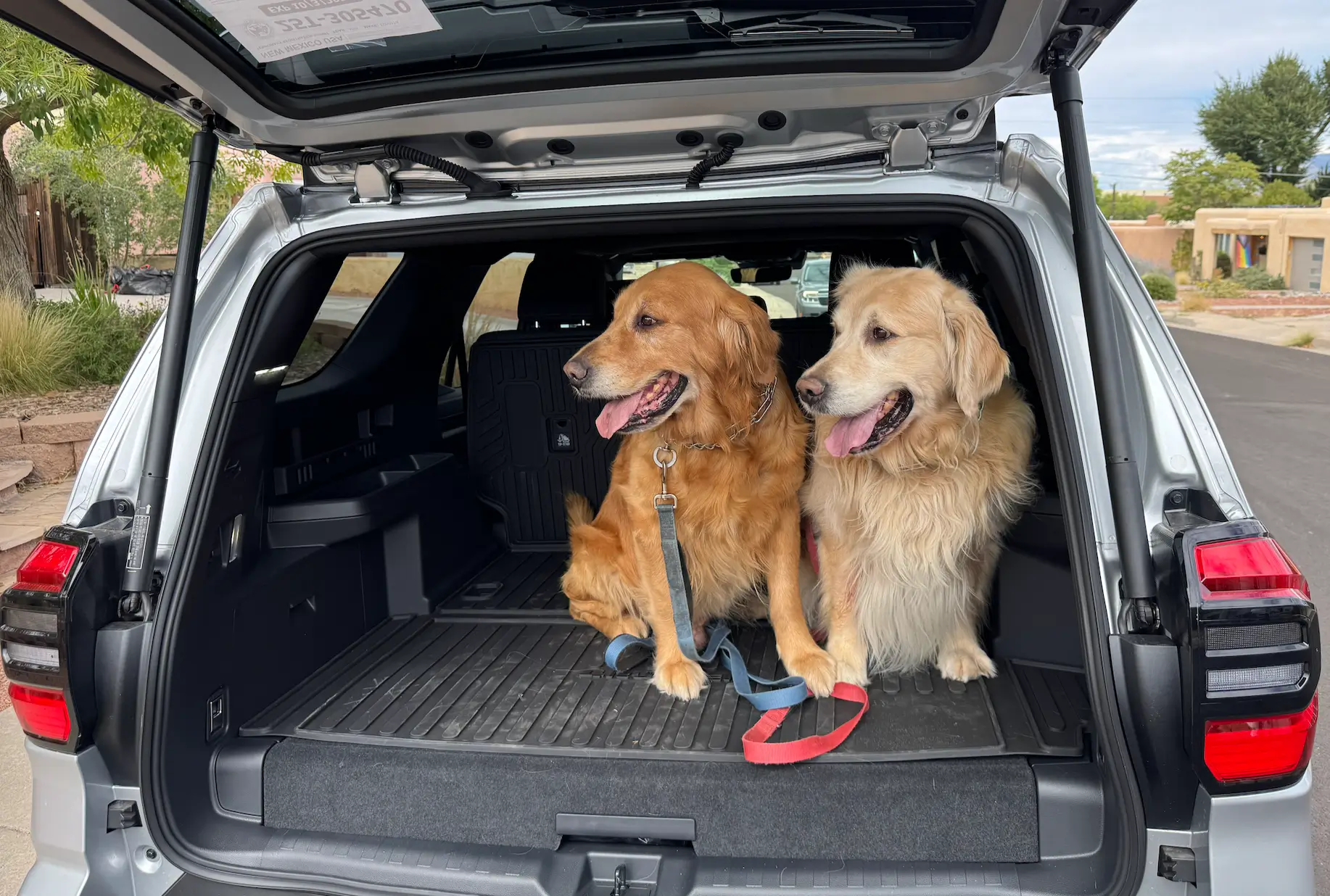 2025 2026 4runner 6th gen Cargo Area - Dog Liner/Mats? Screenshot 2026-05-25 at 8.56.31 AM