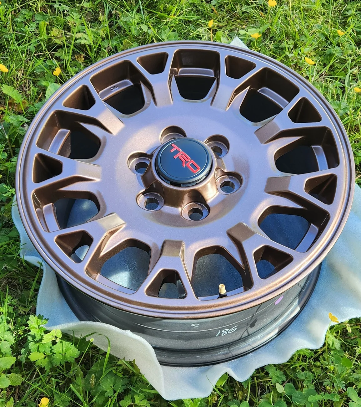 2025 2026 4runner 6th gen Painted the 6th gen TRD wheels bronze wheels 20260612_161428